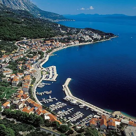 Diva * Podgora (Split-Dalmatia)