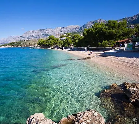 Diva * Podgora (Split-Dalmatia)