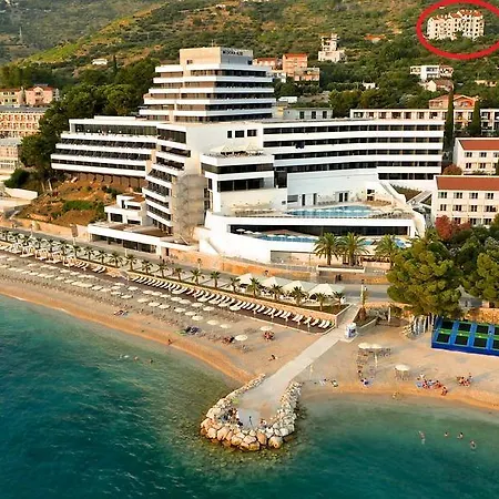 Diva * Podgora (Split-Dalmatia)